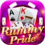 rummy circle company details